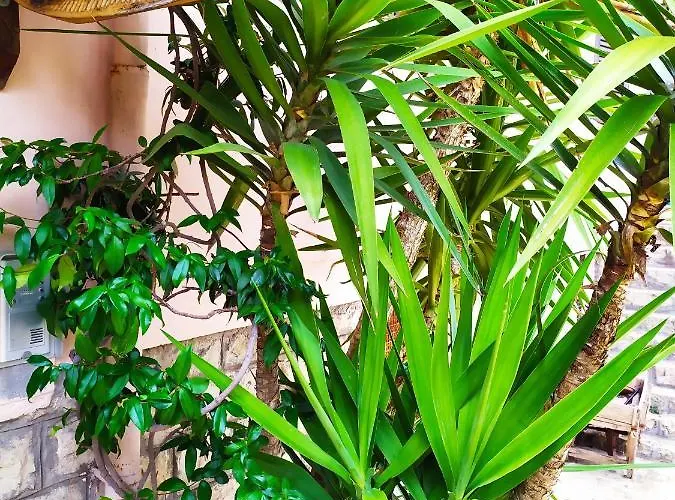 B&B La Peschiera Carpineto Romano foto