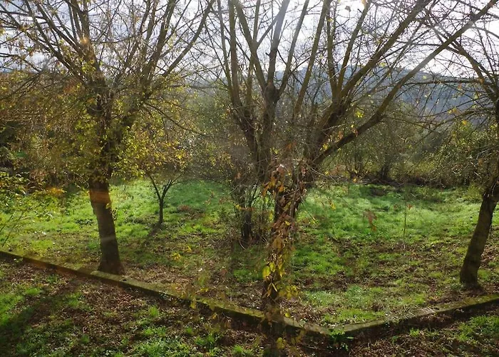 Tenuta Lami-Villa Privata In Umbria San Valentino  photo