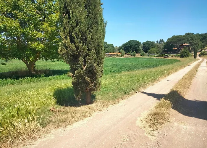 Tenuta Vallenoci Cura di Vetralla photo