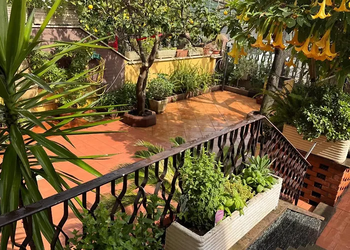 Vera Italia Ladispoli zdjęcie