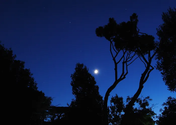 Villa Fattoria Lucciano Borghetto  foto