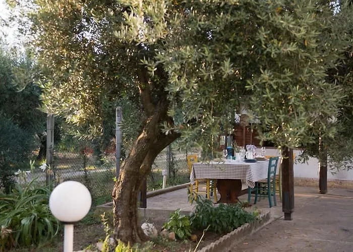 B&B Nero Buono Cori Foto
