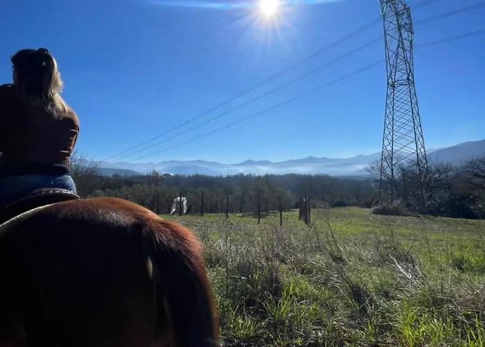 Relax, Mare, Natura E Cavalli Giuliano Di Roma zdjęcie