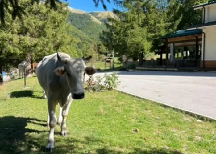 Hotel Campo Stella レオネッサの写真