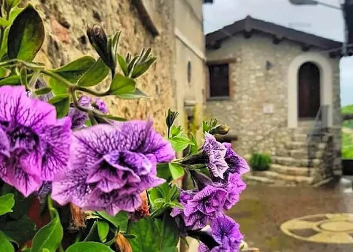 Photo de B&B Leofreni Natura