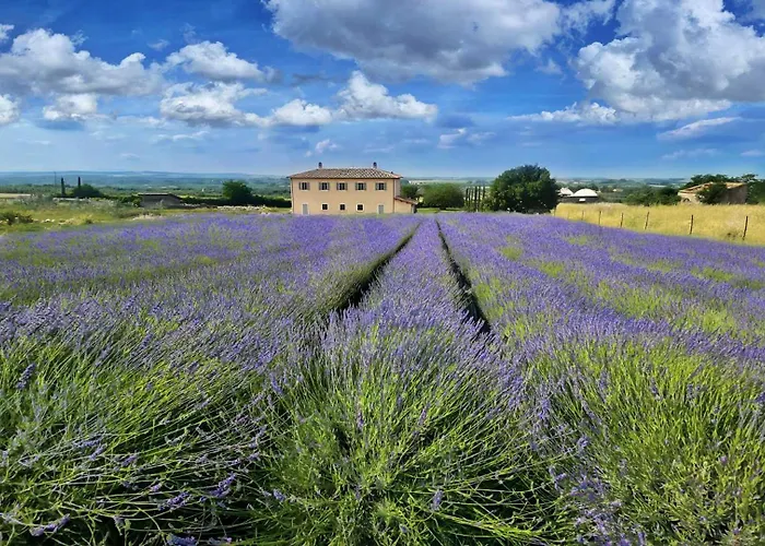 Terre Di Vulci Fiora Villa Canino foto