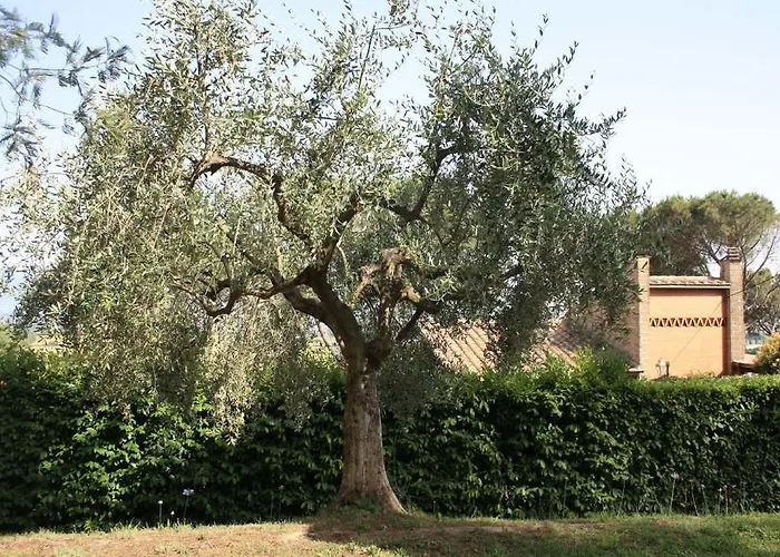 Hotel Bellavista Sacrofano photo