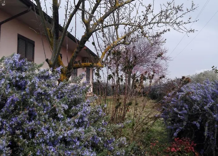 B&B Il Vigneto Tuscania photo